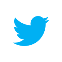 Homepage Landing